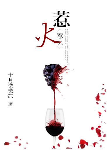 惹火最新章节免费阅读_无弹窗全文在线阅读_BL小说网